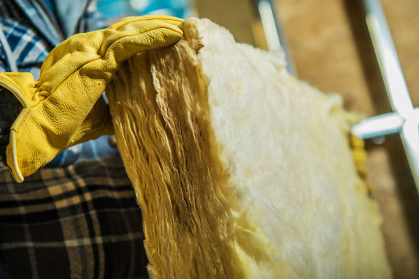 Best Specialty Insulation in Mayo, MD